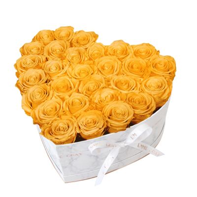 Classic Infinity Rose Box | Perfect Peach | L