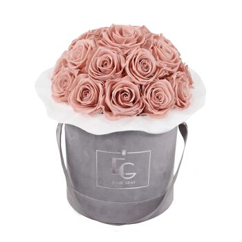 Splendide Rosebox Infinity | Rose Antique | M