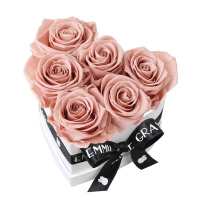 Classic Infinity Rose Box | Antique Pink | S