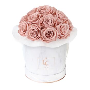 Splendide Rosebox Infinity | Rose Antique | S