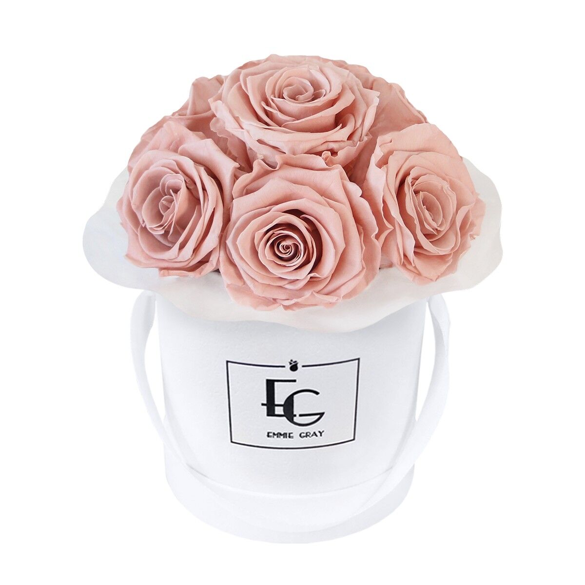 Splendido rosone Infinity | Rosa antico | XS