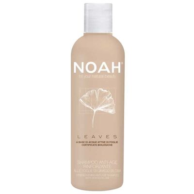 NOAH – Leaves Anti-Age Shampooing Fortifiant au Ginkgo Biloba 250ML