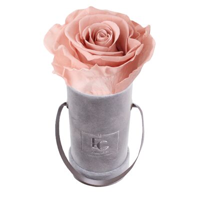 Classic Infinity Rose Box | Antique Pink | XXS