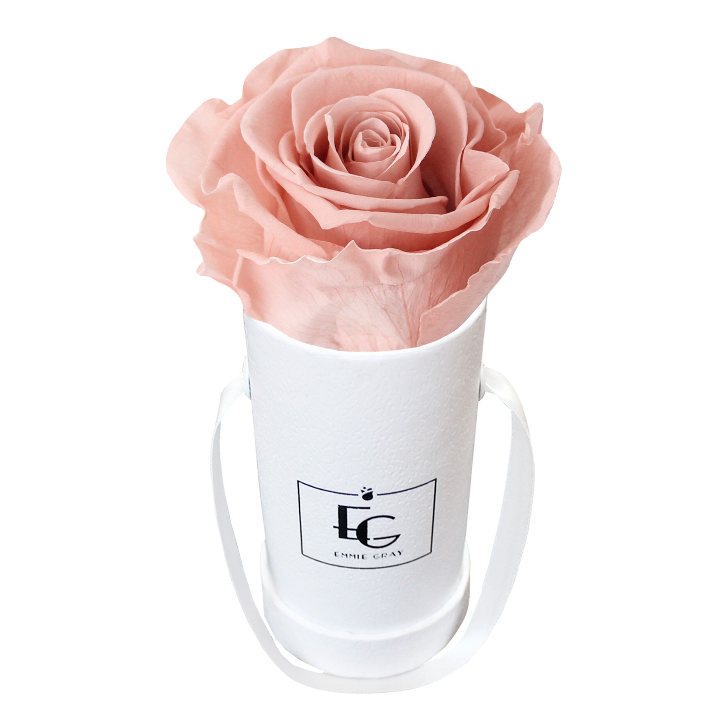 Caja Rosa Infinito Clásica | rosa antiguo | XXS