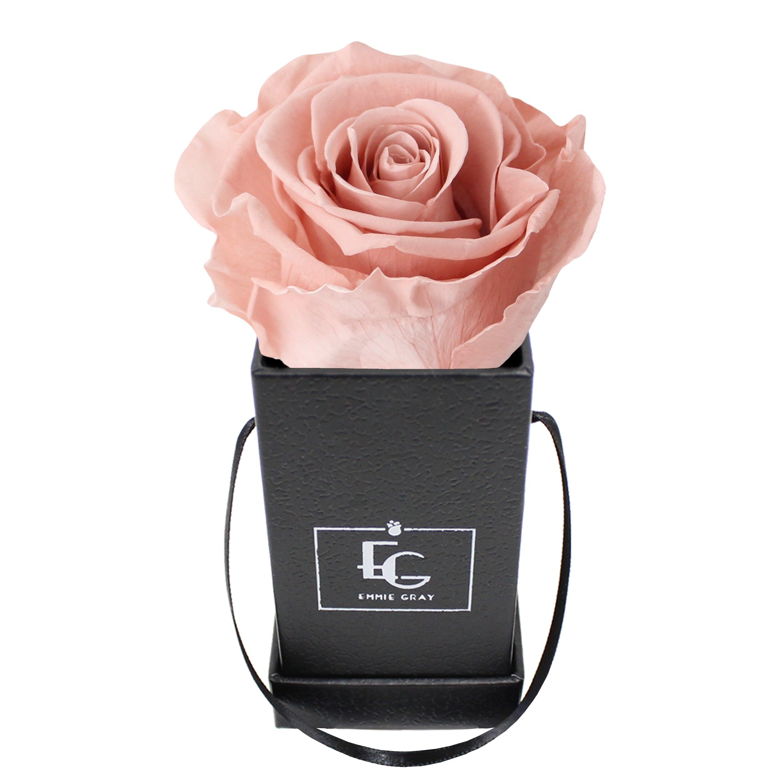 Caja Rosa Infinito Clásica | rosa antiguo | XXS