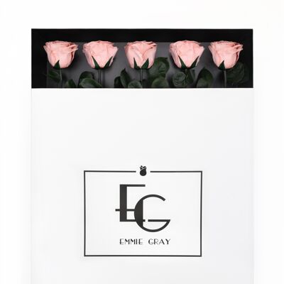 Rose infini à longue tige | Rose antique | 5 roses