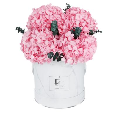 Rosebox Signature Hortensia Infinity | Rose nuptiale | S