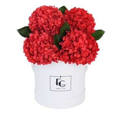 Signature Hydrangea Infinity Rosebox | rojo vibrante | S