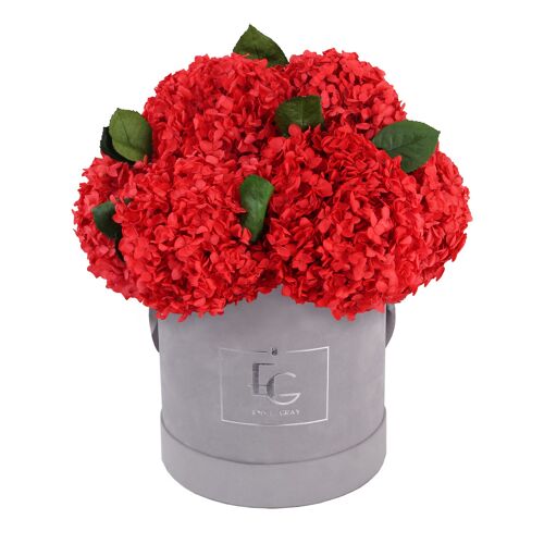 Signature Hydrangea Infinity Rosebox | Vibrant Red | M