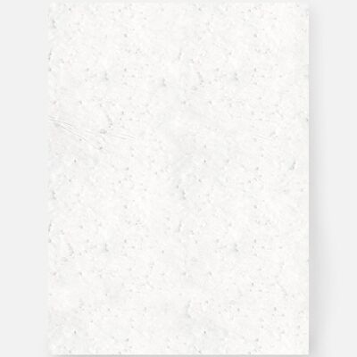 Set di fogli A4 bianchi - carta da piantare