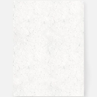 Juego de hojas A4 en blanco - papel para plantar