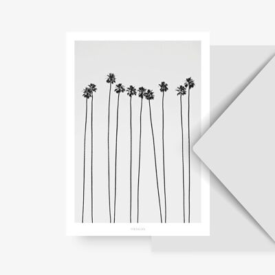 Postcard / All About Palms No. 5