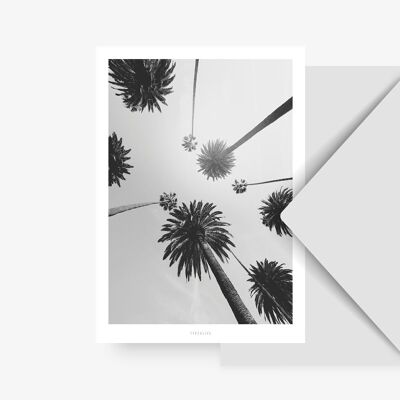 Postkarte / All About Palms No. 7