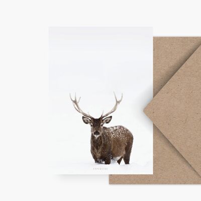 Postcard / Deer No. 2