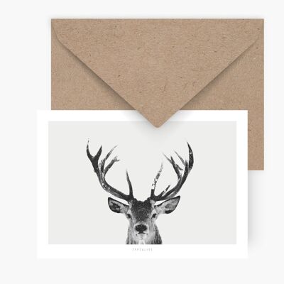 Postcard / Deer No. 1