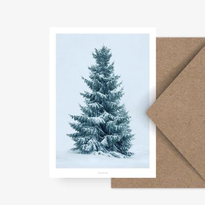 Carte postale / Sapin des neiges No. 2