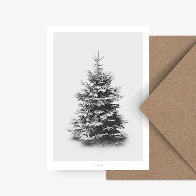 Postcard / Snow Fir No. 1