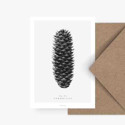 Postcard / pine cone No. 4
