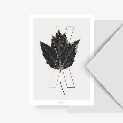 Postkarte / ABC Plants - X