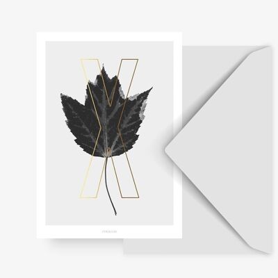 Postkarte / ABC Plants - X