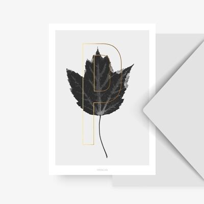 Postkarte / ABC Plants - P