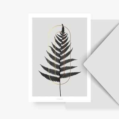 Carte postale / Plantes ABC - O