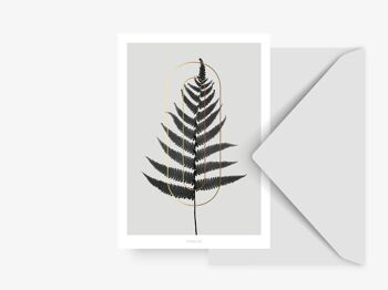 Carte postale / Plantes ABC - O 1