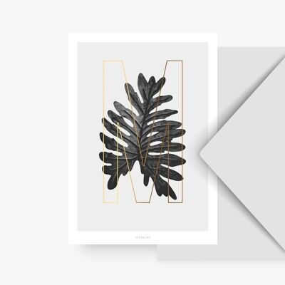 Postkarte / ABC Plants - M
