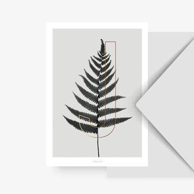Carte postale / Plantes ABC - J
