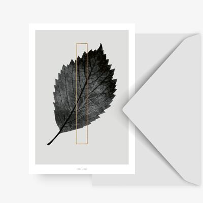 Postkarte / ABC Plants - I