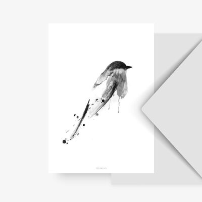 Cartolina / Birdy n. 3