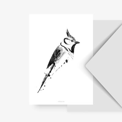 Carte postale / Birdy No. 2