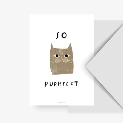 Cartolina / Catsfaction n. 5