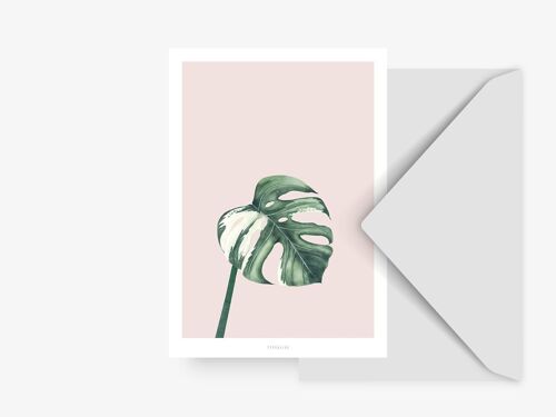 Postkarte / Tropical No. 11