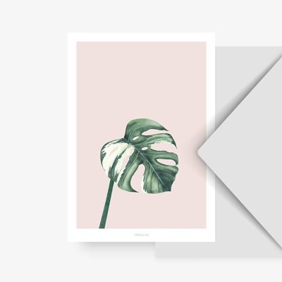Postkarte / Tropical No. 11