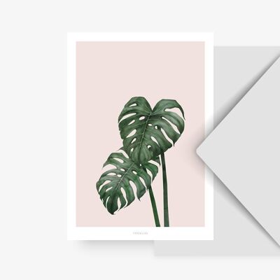 Postkarte / Tropical No. 9