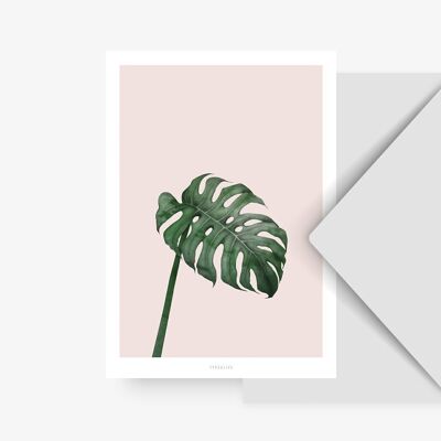 Postkarte / Tropical No. 7