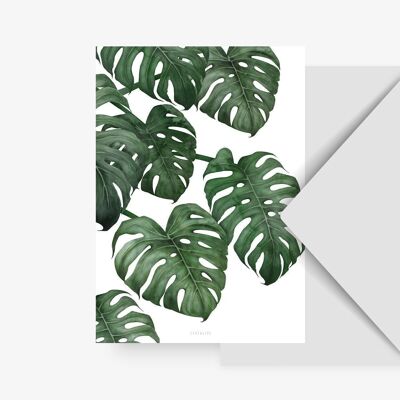 Carte postale / Tropical No. 6