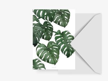 Carte postale / Tropical No. 6 1