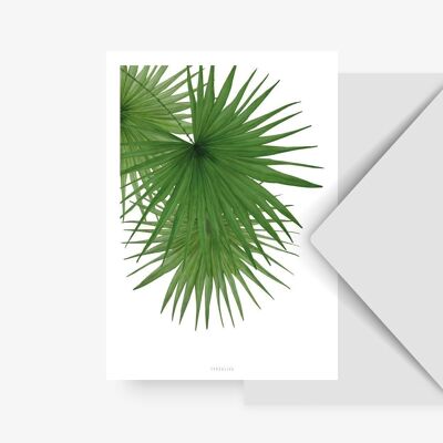 Postkarte / Tropical No. 3