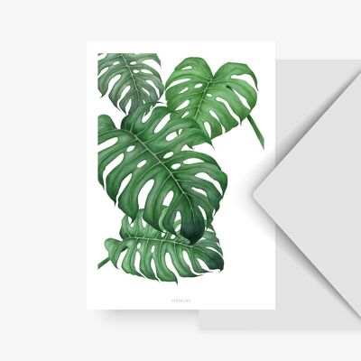 Postkarte / Tropical No. 2