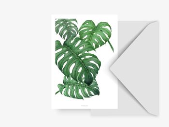 Carte postale / Tropical No. 2 1