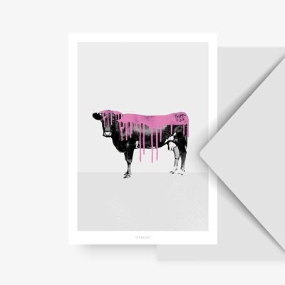 Carte postale / vache rose