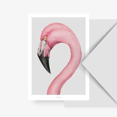 Carte postale / flamant rose
