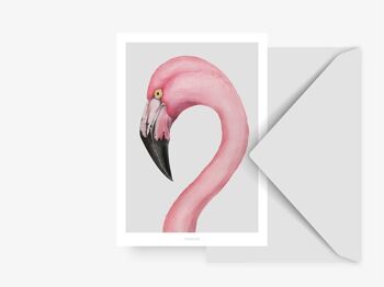 Carte postale / flamant rose 2