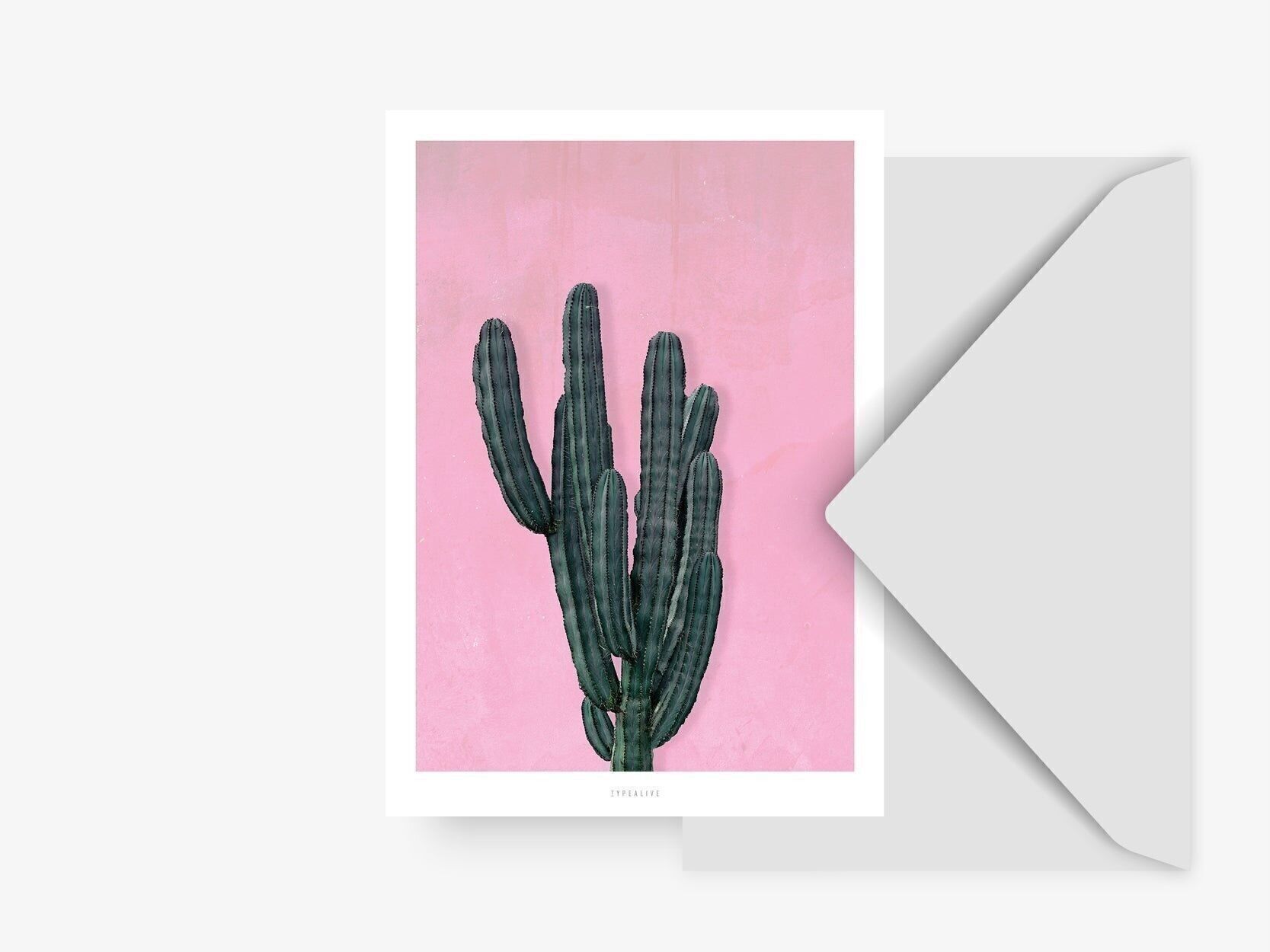 Postal / cactus no. 1