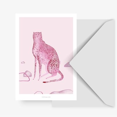 Postkarte / Wild Cats No. 1