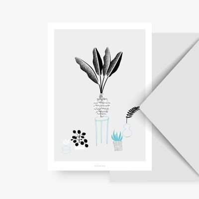 Carte postale / Les plantes