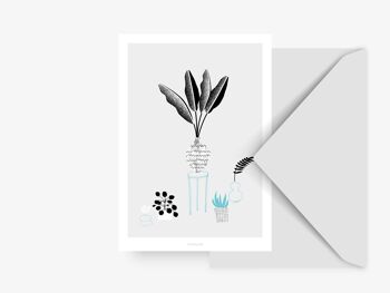 Carte postale / Les plantes 1