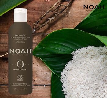 NOAH -COSMOS ORGANIC” Shampoing Effet Hydratant 250ML 2